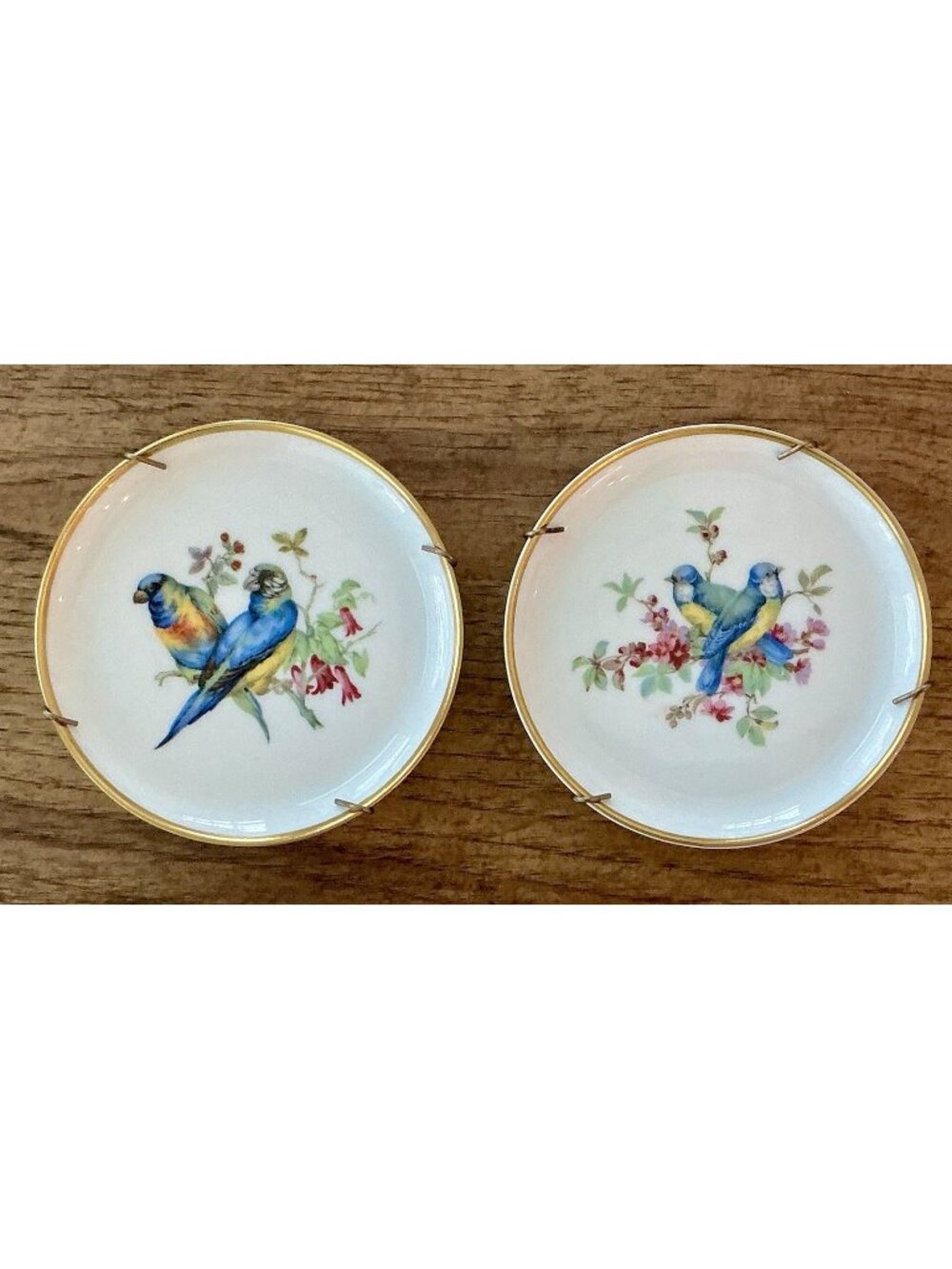 AK Kaiser W Germany Vogel Bird Porcelain Mini Plates Pair Gold Rim 4"